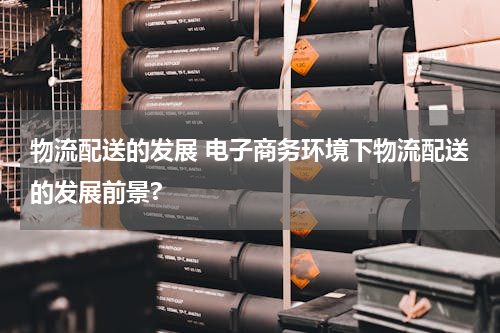 物流配送的发展 电子商务环境下物流配送的发展前景?