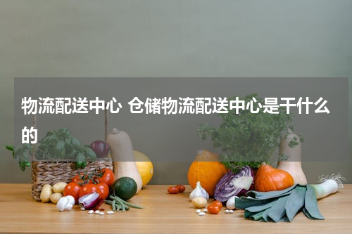 物流配送中心 仓储物流配送中心是干什么的