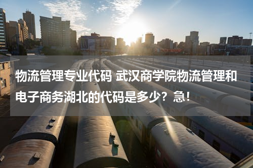 物流管理专业代码 武汉商学院物流管理和电子商务湖北的代码是多少？急！