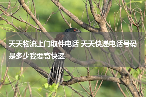 天天物流上门取件电话 天天快递电话号码是多少我要寄快递
