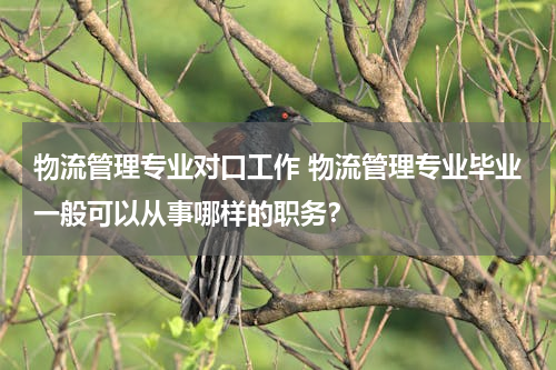 物流管理专业对口工作 物流管理专业毕业一般可以从事哪样的职务？