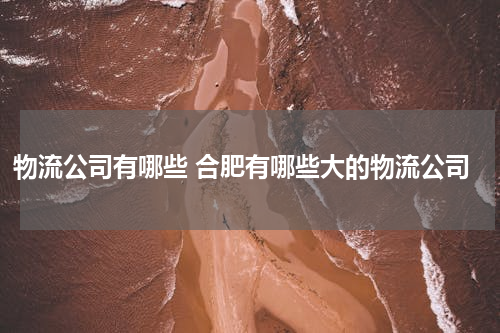 物流公司有哪些 合肥有哪些大的物流公司
