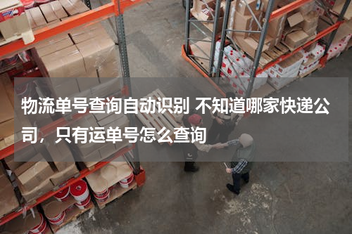 物流单号查询自动识别 不知道哪家快递公司，只有运单号怎么查询