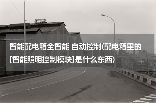 智能配电箱全智能 自动控制(配电箱里的[智能照明控制模块]是什么东西)