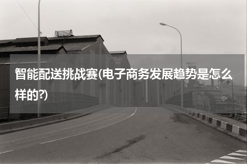 智能配送挑战赛(电子商务发展趋势是怎么样的?)