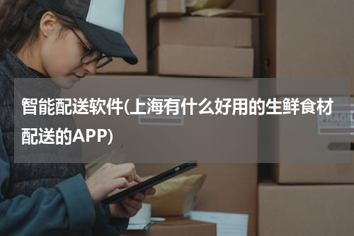 智能配送软件(上海有什么好用的生鲜食材配送的APP)