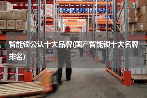 智能锁公认十大品牌(国产智能锁十大名牌排名)