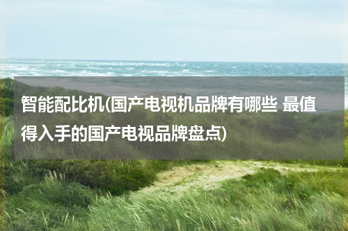 智能配比机(国产电视机品牌有哪些 最值得入手的国产电视品牌盘点)