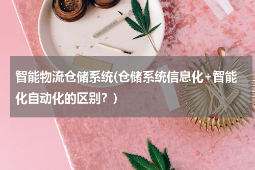 智能物流仓储系统(仓储系统信息化+智能化自动化的区别？)