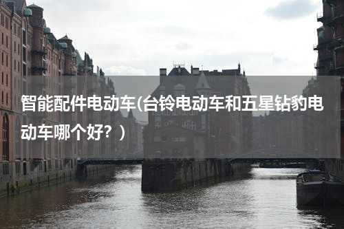智能配件电动车(台铃电动车和五星钻豹电动车哪个好？)