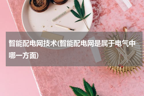 智能配电网技术(智能配电网是属于电气中哪一方面)