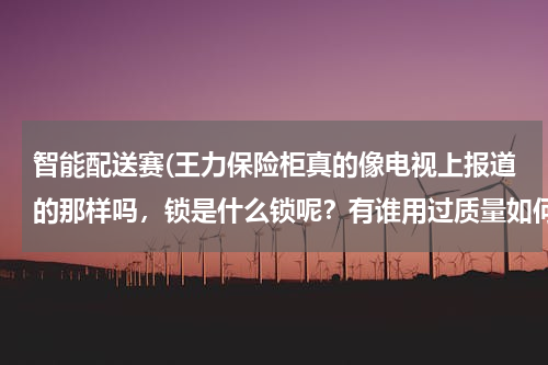智能配送赛(王力保险柜真的像电视上报道的那样吗，锁是什么锁呢？有谁用过质量如何？)