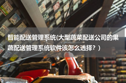 智能配送管理系统(大型蔬菜配送公司的果蔬配送管理系统软件该怎么选择？)