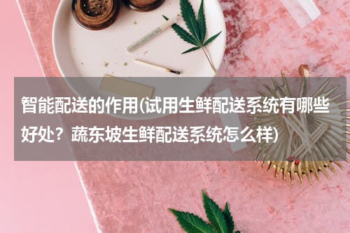智能配送的作用(试用生鲜配送系统有哪些好处？蔬东坡生鲜配送系统怎么样)