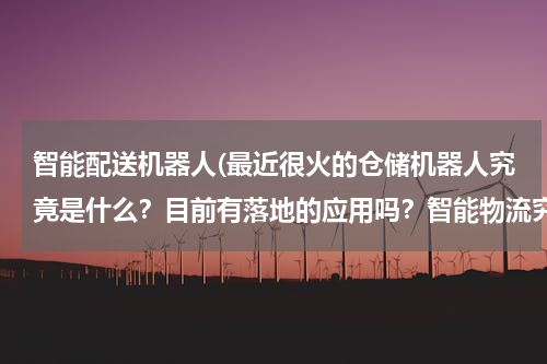 智能配送机器人(最近很火的仓储机器人究竟是什么？目前有落地的应用吗？智能物流究竟是什么样的一种场景？)