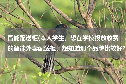 智能配送柜(本人学生，想在学校投放收费的智能外卖配送柜，想知道那个品牌比较好？)