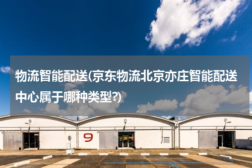 物流智能配送(京东物流北京亦庄智能配送中心属于哪种类型?)