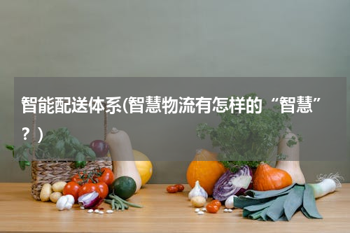 智能配送体系(智慧物流有怎样的“智慧”？)