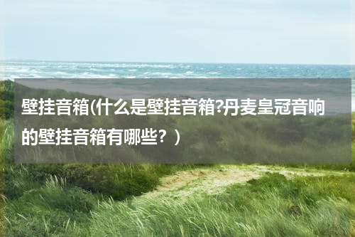 壁挂音箱(什么是壁挂音箱?丹麦皇冠音响的壁挂音箱有哪些？)