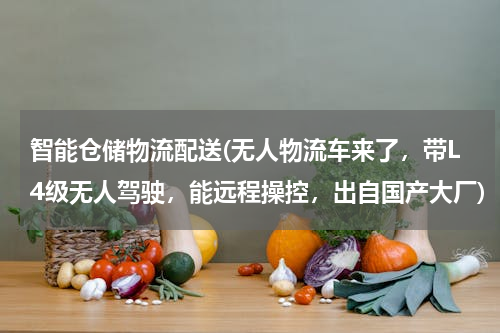 智能仓储物流配送(无人物流车来了，带L4级无人驾驶，能远程操控，出自国产大厂)