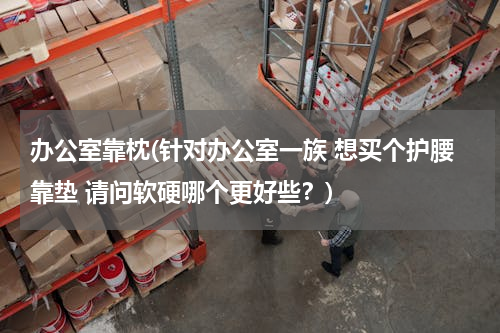 办公室靠枕(针对办公室一族 想买个护腰靠垫 请问软硬哪个更好些？)