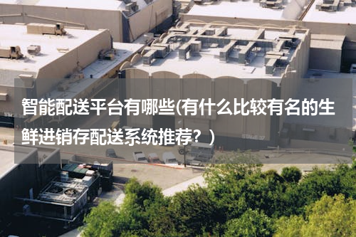 智能配送平台有哪些(有什么比较有名的生鲜进销存配送系统推荐？)