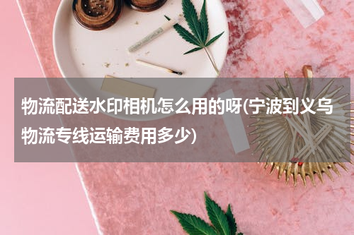 物流配送水印相机怎么用的呀(宁波到义乌物流专线运输费用多少)