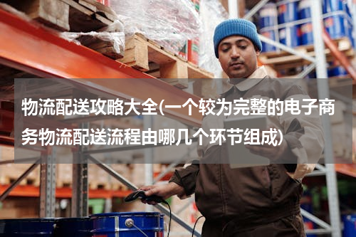 物流配送攻略大全(一个较为完整的电子商务物流配送流程由哪几个环节组成)