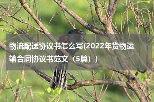物流配送协议书怎么写(2022年货物运输合同协议书范文（5篇）)