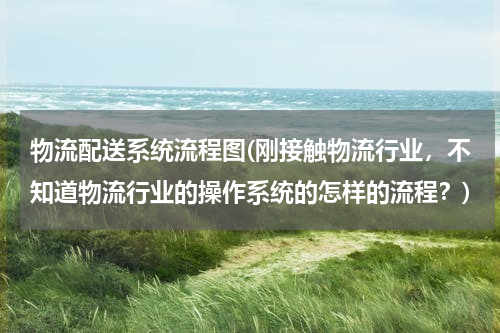物流配送系统流程图(刚接触物流行业，不知道物流行业的操作系统的怎样的流程？)