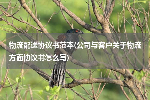 物流配送协议书范本(公司与客户关于物流方面协议书怎么写)