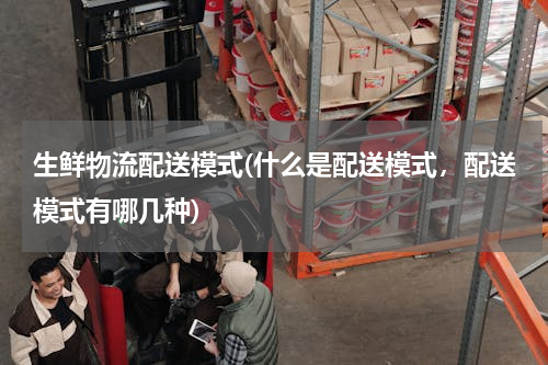 生鲜物流配送模式(什么是配送模式，配送模式有哪几种)