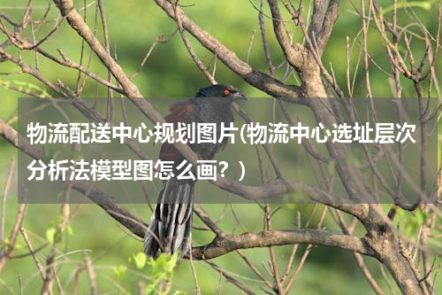物流配送中心规划图片(物流中心选址层次分析法模型图怎么画？)