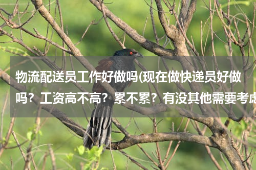 物流配送员工作好做吗(现在做快递员好做吗？工资高不高？累不累？有没其他需要考虑的因素？)