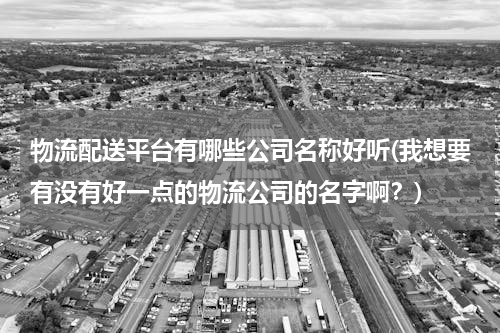 物流配送平台有哪些公司名称好听(我想要有没有好一点的物流公司的名字啊？)