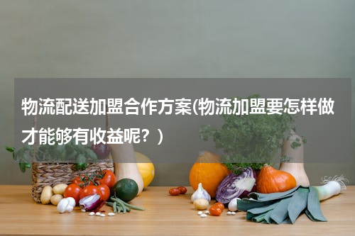 物流配送加盟合作方案(物流加盟要怎样做才能够有收益呢？)