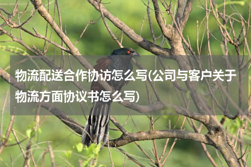 物流配送合作协访怎么写(公司与客户关于物流方面协议书怎么写)