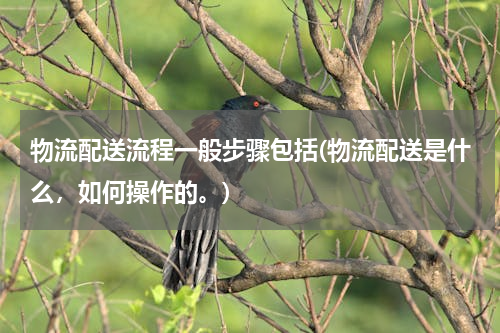 物流配送流程一般步骤包括(物流配送是什么，如何操作的。)