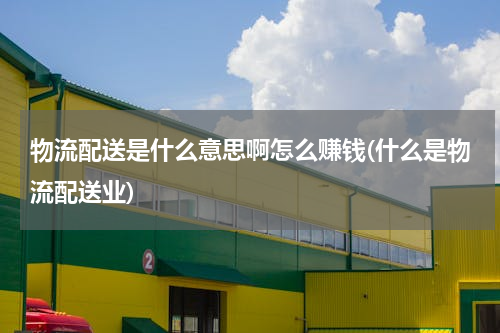 物流配送是什么意思啊怎么赚钱(什么是物流配送业)