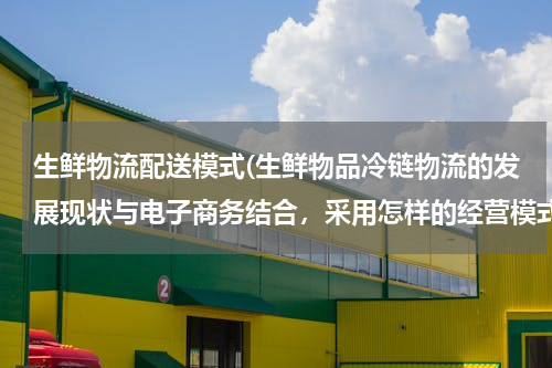 生鲜物流配送模式(生鲜物品冷链物流的发展现状与电子商务结合，采用怎样的经营模式)