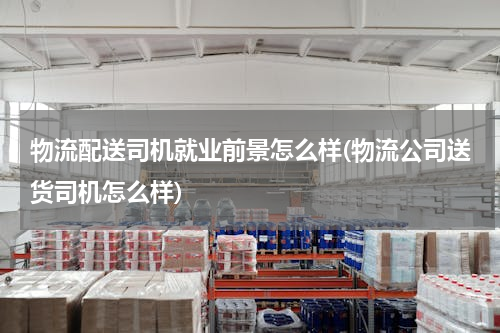 物流配送司机就业前景怎么样(物流公司送货司机怎么样)