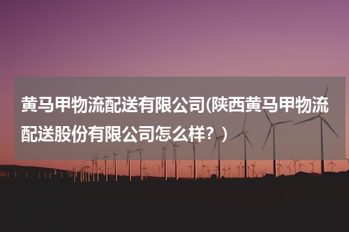 黄马甲物流配送有限公司(陕西黄马甲物流配送股份有限公司怎么样？)