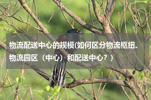 物流配送中心的规模(如何区分物流枢纽、物流园区（中心）和配送中心？)