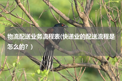物流配送业务流程表(快递业的配送流程是怎么的？)