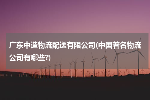 广东中造物流配送有限公司(中国著名物流公司有哪些?)