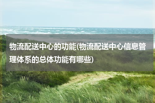 物流配送中心的功能(物流配送中心信息管理体系的总体功能有哪些)