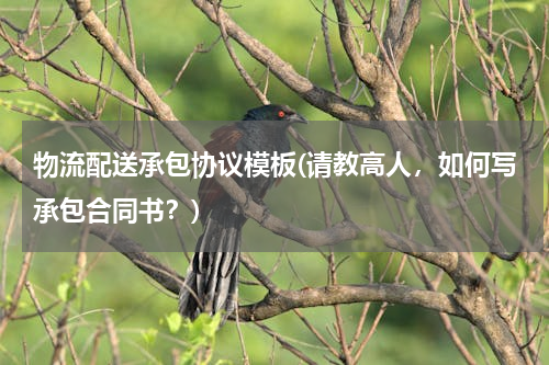 物流配送承包协议模板(请教高人，如何写承包合同书？)