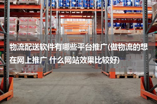 物流配送软件有哪些平台推广(做物流的想在网上推广 什么网站效果比较好)