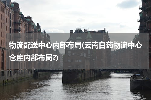 物流配送中心内部布局(云南白药物流中心仓库内部布局?)