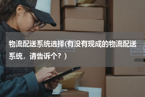 物流配送系统选择(有没有现成的物流配送系统，请告诉个？)